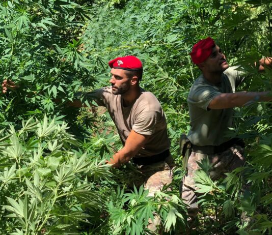 gragnano carabinieri opere abusive