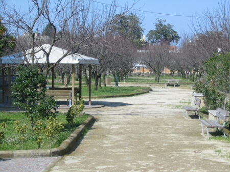 giardini infanzia pomigliano