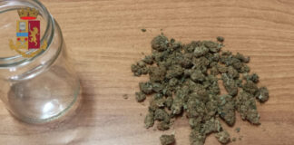 marijuana ischia