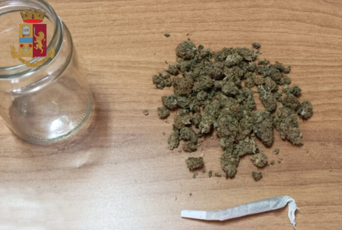 marijuana ischia