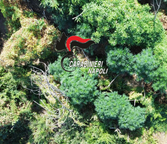 monte faito camorra droga