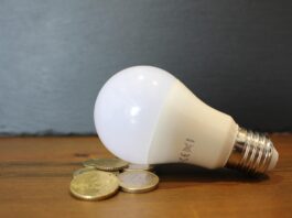 caro energia autunno