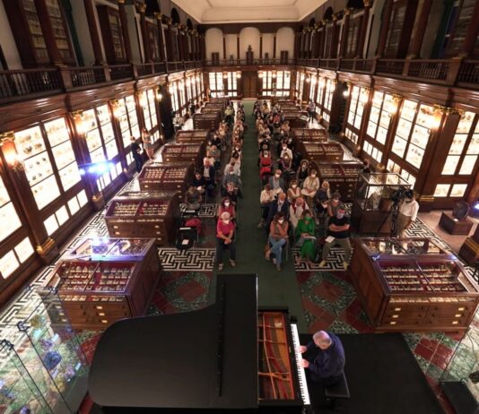 Festival Spinacorona Napoli