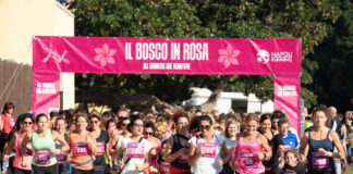 Bosco in Rosa - Corri tra i capolavori