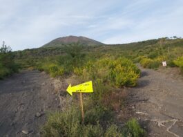 Vesuvio Mountainbike Race I segreti del percorso