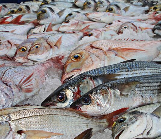 castellammare clan settori monopolio