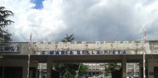 nola prelievo organi ospedale