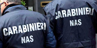 Allarme listeria, blitz dei Nas anche in Campania: controlli in un caseificio ed un ingrosso carni avicole nas carabinieri campania listeria