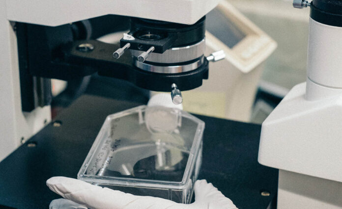 violenza sessuale napoli tecnico laboratorio