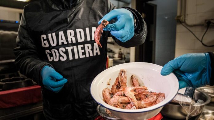 guardia costiera prodotti ittici campania guardia costiera prodotti ittici campania