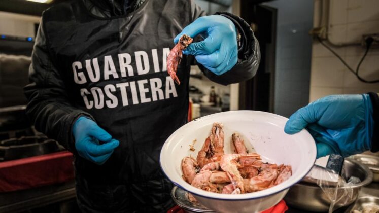 guardia costiera prodotti ittici campania