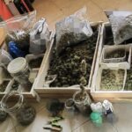 salerno hashish
