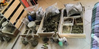 Salerno, deteneva oltre 6 kg di hashish e 7 kg di marijuana: arrestato salerno hashish