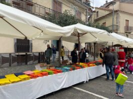 Comunicato Roccadaspide - Doni 'ambientali' per i ragazzi delle scuole3
