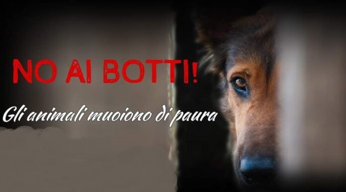 NO-AI-BOTTI