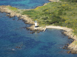 isola delle bisce sardegna