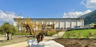 Sant'Antonio Abate: videosorveglianza e alberature per il nuovo "Parco della Gentilezza"