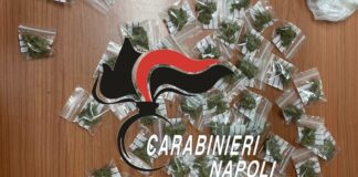 Santa Maria la Carità, marijuana in casa pronta per la vendita: arrestato 23enne