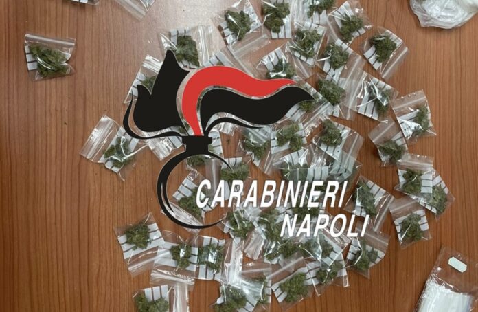 Santa Maria la Carità, marijuana in casa pronta per la vendita: arrestato 23enne Santa Maria la Carità, marijuana in casa pronta per la vendita: arrestato 23enne