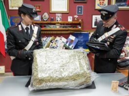 pastori presepe marijuana carabinieri