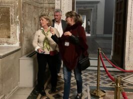 guide turistiche disegno legge