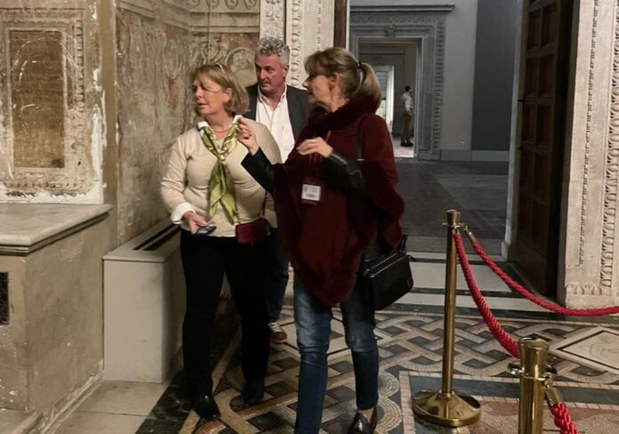 guide turistiche disegno legge