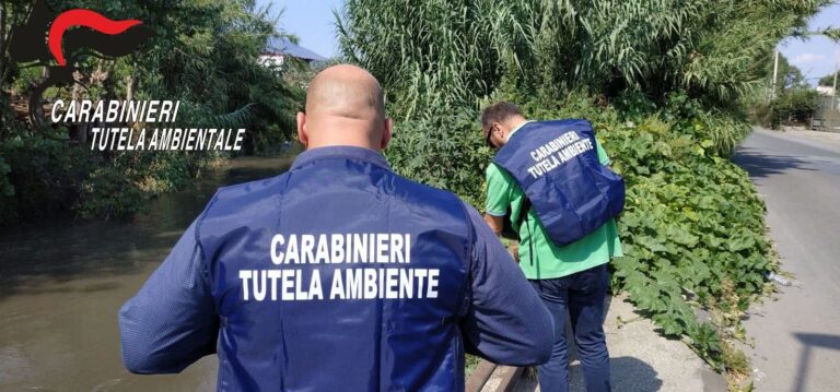 Castellammare, scarichi illeciti nel fiume Sarno e lavoro nero: blitz dei carabinieri in due caseifici, scattano le denunce