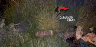 Volla, un ordigno bellico sul ciglio della strada: zona bonificata dai carabinieri