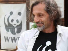 Sant'Agnello, aggredì brutalmente il presidente del Wwf: arrestato imprenditore edile. "Un atto di vendetta contro le denunce dell'attivista per la tutela dell'ambiente"