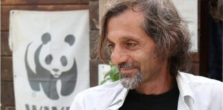 Sant'Agnello, aggredì brutalmente il presidente del Wwf: arrestato imprenditore edile. "Un atto di vendetta contro le denunce dell'attivista per la tutela dell'ambiente"