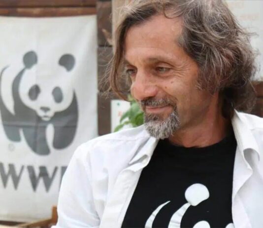 Sant'Agnello, aggredì brutalmente il presidente del Wwf: arrestato imprenditore edile. "Un atto di vendetta contro le denunce dell'attivista per la tutela dell'ambiente"