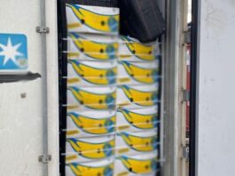 Cos'è l'operazione "Tin Can": oltre 90 tonnellate di cocaina sequestrate e 43 arresti