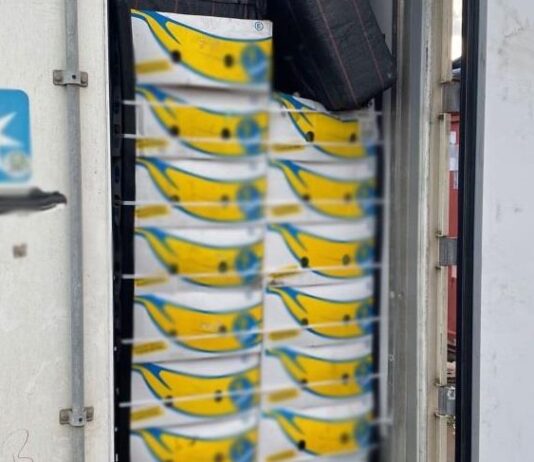 Cos'è l'operazione "Tin Can": oltre 90 tonnellate di cocaina sequestrate e 43 arresti