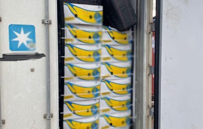 Cos'è l'operazione "Tin Can": oltre 90 tonnellate di cocaina sequestrate e 43 arresti Cos'è l'operazione "Tin Can": oltre 90 tonnellate di cocaina sequestrate e 43 arresti