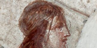Castellammare, Museo Archeologico “Libero D’Orsi”: al via i lavori di restauro di 40 affreschi Castellammare, Museo Archeologico "Libero D'Orsi": al via i lavori di restauro di 40 affreschi