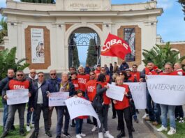 Sciopero agli Scavi, più disagi e code a Pompei che ad Ercolano: "Il nuovo bando sta per sfociare in un dramma"