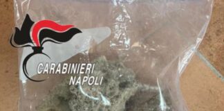 Porta via sassi dagli Scavi di Ercolano, denunciato turista canadese: "Bloccato con una bustina nello zaino"