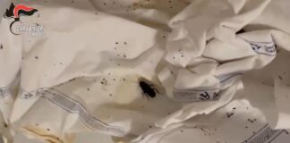 Blatte e carenze igieniche nelle mense ospedaliere: blitz dei carabinieri del Nas a Napoli