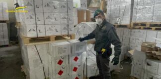 Boscoreale, gravi rischi per la salute: sotto sequestro oltre 30 tonnellate di prodotti fitosanitari Boscoreale, gravi rischi per la salute: sotto sequestro oltre 30 tonnellate di prodotti fitosanitari