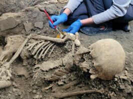 Scavi di Pompei, emergono nuovi scheletri: "Ultime due vittime dei Casti Amanti"