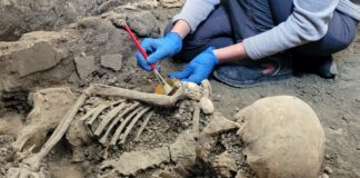 Scavi di Pompei, emergono nuovi scheletri: “Ultime due vittime dei Casti Amanti” Scavi di Pompei, emergono nuovi scheletri: "Ultime due vittime dei Casti Amanti"