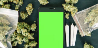 Castellammare, cocaina e marijuana via chat: un affare gestito dalle cosche malavitose Castellammare, cocaina e marijuana via chat: un affare gestito dalle cosche malavitose