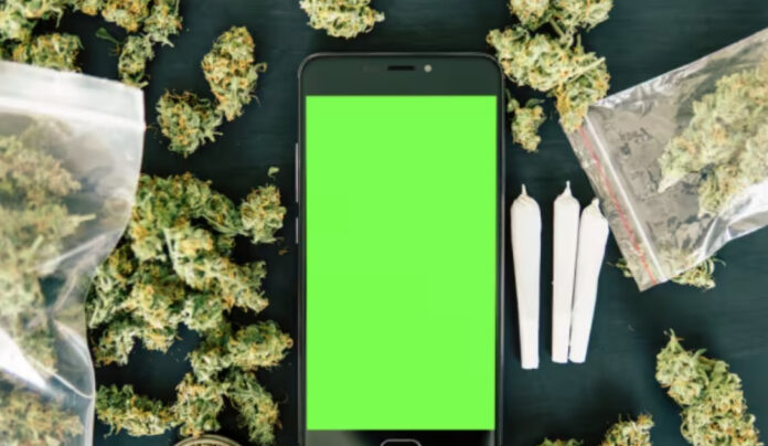 Castellammare, cocaina e marijuana via chat: un affare gestito dalle cosche malavitose Castellammare, cocaina e marijuana via chat: un affare gestito dalle cosche malavitose