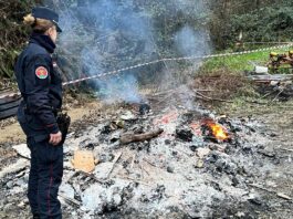fuoco e fumo in un fondo agricolo Carabinieri forestale