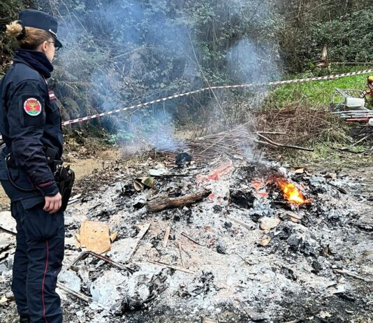 fuoco e fumo in un fondo agricolo Carabinieri forestale