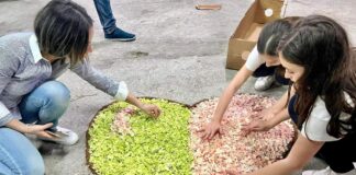 Infiorata record nelle strade di Sant'Antonio Abate: domenica 250mila fiori per decorare la città
