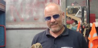 Falco Reale salvato dalle Guardie Giurate nel Fossato del Maschio Angioino a Napoli
