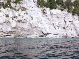 Punta Campanella, "Schiuma in mare fenomeno naturale accentuato da pioggia e infrastrutture fognarie obsolete"