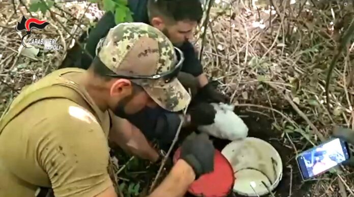 Operazione Continuum Bellum a Lettere e Sant'Antonio Abate, cocaina e marijuana 4 arresti