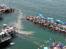 Penisola Sorrentina e mare verde, il WWF: "L'estate inizia nel peggiore del modi!"